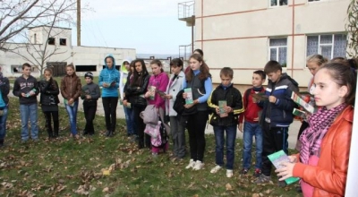 Ore ecologice în Liceul Teoretic “Mihai Eminescu” Sipoteni, Călăraşi 2013